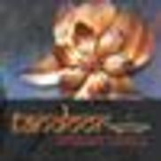 Tandoor Indian Grill