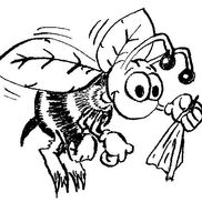 Clean bee carpet cleaning