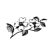 Dogwood Home Services, LLC