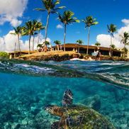 The Beach House Restaurant