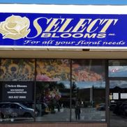 Select Blooms Floral Boutique Orleans ON Alignable