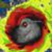 Insurance Claims Specialists LLC