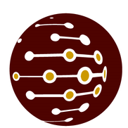 Element Computing, Little Rock AR