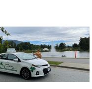 Clover Leaf Driving School