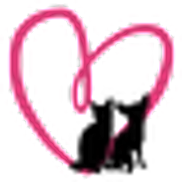 Pet Love Photography, Cincinnati OH