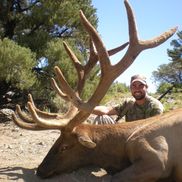 Discounted Hunts and Vouchers