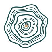 Body in Practice Rolfing - Chicago