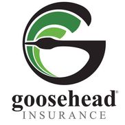 Goosehead Insurance - Reading Agency