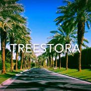 TreeStora