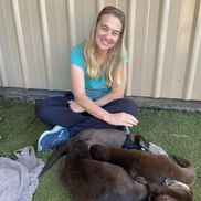 Eucalyptus Massage Clinic