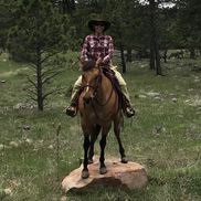 Little Red Riding Ranch LLC