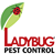 Ladybug Pest Control Services