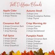 Ela's Essentials. essential oils and more