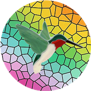 Hummingbird Hues Vision LLC, Avondale CO