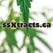 Salt Spring Xtracts