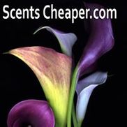 Scents Cheaper.com