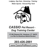 Cassio kennels best sale