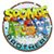 Sponge Brothers Car Wash