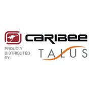 Talus Corp