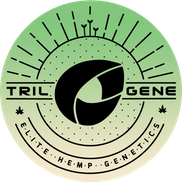 Trilogene Seeds