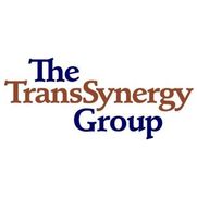 The TransSynergy Group