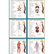 Therapeutic Massage and Intuitive Bodywork