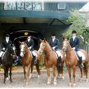Dressage Show Secretarial Services