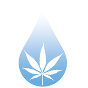 Med CBD LLC