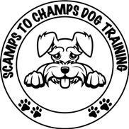 Scamps To Champs Dog Training