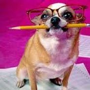 TCDC, Inc dba Bessler Tax & Accounting