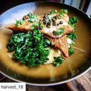 Sunburst Trout Farms®
