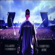 BULL             Audio<>Engineering