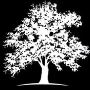White Oaks Homes LLC