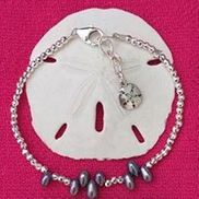 Sand Dollar Designs
