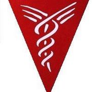 vca veterinary emergency service