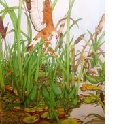 Art in Watercolor