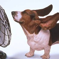 License To Chill HVAC, Bethpage NY