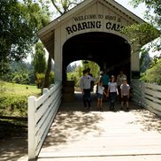 Roaring Camp Railroads