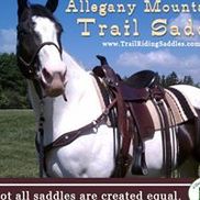 Allegany Mountain Saddlery