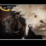 Ellie's Pet Barn