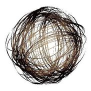 Bind Architecture