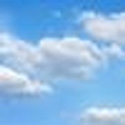 BSW Farm, Union Grove WI