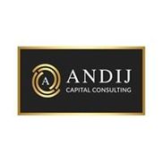 Andij Capital Consulting, LLC