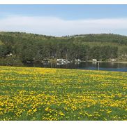 Pleasant Valley Campground