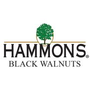 Hammons Black Walnuts