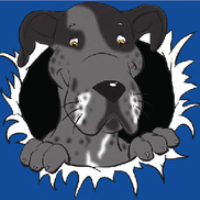 Cold Noses News: The Dog Newsletter that Works as Hard as You Do!, Zephyr Cove NV