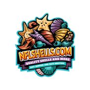 nflshells.com