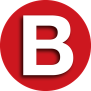 Bergen Seating LLC