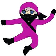 The Chaos Ninja