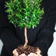 Made to Thrive Consulting, LLC